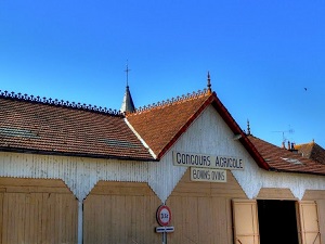 GR303 Randonnée de Néris-les-Bains à Montcombroux-les-Mines (Allier) 8