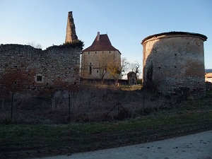 GR31 Randonnée en Sologne (Nièvre, Cher, Loir-et-Cher) 4