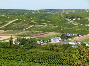 GR31 Hiking from Cosne-Cours-sur-Loire (Nievre) to Mntrol-sur-Sauldre (Cher) 4