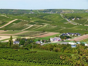 GR31 Hiking from Cosne-Cours-sur-Loire (Nievre) to Ménétréol-sur-Sauldre (Cher) 4