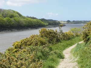 GR34 Randonnée de Broennou à Trégana (Finistère) 3