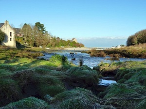 GR34 Randonnée de Broennou à Trégana (Finistère) 6