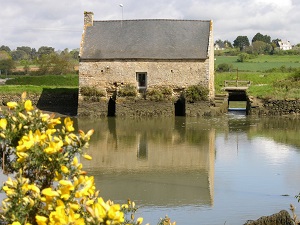 GR34 Walking from Quiberon to Vannes (Morbihan) 5