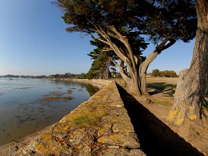 GR34 Randonnée de Quiberon à Vannes (Morbihan) 6