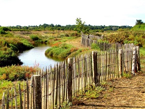 GR34 Hiking from Pont d'Arm to St Nazaire (Loire-Atlantique) 3