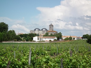 GR360 Randonnée autour de Saintonge (Charente-Maritime) 7