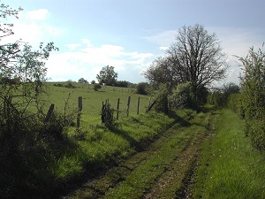 GR364 Walking from Plein-Bois to Lusignan (Vienne) 3