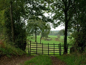 GR364 Hiking from Lusignan (Vienne) to St Paul-en-Gatine (Deux-Sevres) 7