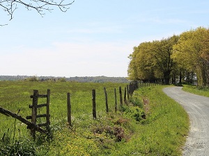 GR364 Hiking from St Paul-en-Gatine (Deux-Sevres) to Chateau-Guibert (Vendee) 3