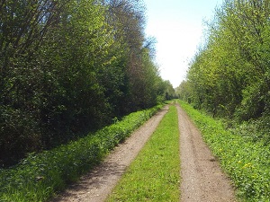 GR364 Hiking from St Paul-en-Gatine (Deux-Sevres) to Chateau-Guibert (Vendee) 4