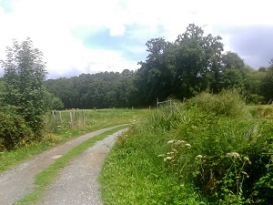 gr365a Randonnée de La Chapelle-Janson (Ille-et-Vilaine) à Mayenne (Mayenne) 4