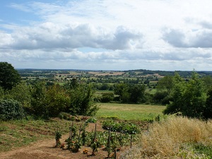 GR36 Randonnée de Mont-Saint-Jean à St Mars-d'Outillé (Sarthe) 3