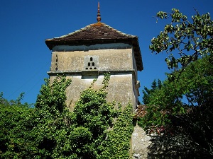 GR36 Randonnée de Les Eyzies-de-Tayac-Sireuil (Dordogne) à Prayssac (Lot) 6