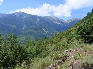 GR36 Hiking from Sournia to Bourg-Madame (Pyrenees-Orientales) 5