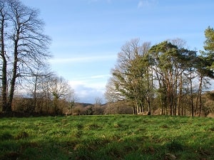 GR380 Hiking around Monts d'Arree (Finistere, Cotes-d'Armor) 7