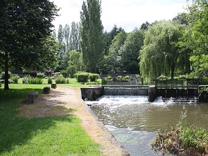 GR®3C Randonnée de Gien (Loiret) à Huisseau-sur-Cosson (Loir-et-Cher) 4