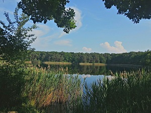 GR®3C Randonnée de Gien (Loiret) à Huisseau-sur-Cosson (Loir-et-Cher) 6