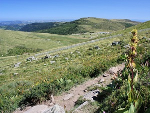 GR400 Hiking around Cantal Volcanoes 4