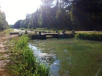 GR413 Hiking from Huisseau-sur-Cosson to Villefranche-sur-Cher (Loir-et-Cher) 8