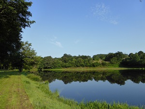 GR41 Hiking from Reugny (Allier) to Solignat (Puy-de-Dome) 6