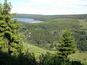 GR43 Hiking from Faisses Pass to Ste Eulalie (Lozere) 4