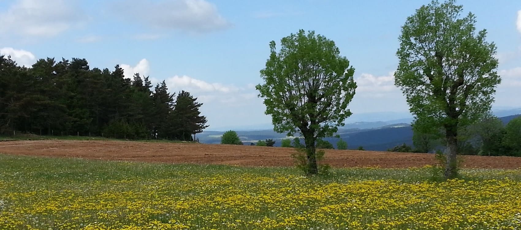 GR®43 From Faisses Pass to Ste Eulalie (Lozere)