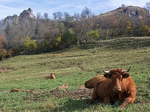 GR465 Hiking from Murat (Cantal) to Conques (Aveyron) 3