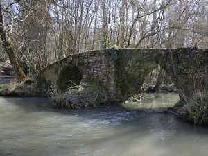 GR46 Hiking from Tours (Indre-et-Loire) to Buzancais (Indre) 4