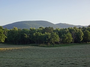 GR46 Hiking from St-Pardoux-le-Neuf (Creuse) to La Mechaussie (Correze) 6