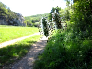 6 GR®46 Randonnée de Rocamadour (Lot) à Saint-Projet (Tarn-et-Garonne)