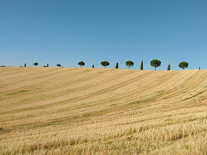 GR46 Hiking from Gaillac (Tarn) to Toulouse (Haute-Garonne) 4