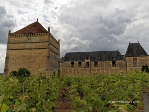 GR48 Hiking from La Ribiere (Haute-Vienne) to Chinon (Indre-et-Loire) 7