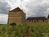GR48 Hilking from Angles-sur-l'Anglin (Vienne) to Chinon (Indre-et-Loire) 8