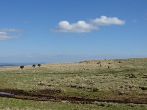 GR4 Randonnée de Egliseneuve-d'Entraigues (Puy-de-Dôme) à St Flour (Cantal) 6