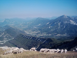 GR4 Randonnée de Rougon (Alpes-de-Haute-Provence) à Grasse (Alpes-Maritimes) 5