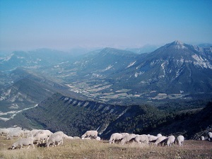 GR4 Hiking from Rougon (Alpes-de-Haute-Provence) to Grasse (Alpes-Maritimes) 5