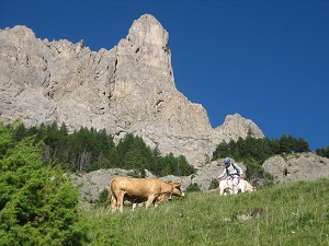 GR50 Hiking on the Tour of Ecrins National Park (Hautes-Alpes, Isere) 5