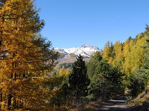 GR50 Randonnée autour du Parc National des Ecrins (Hautes-Alpes, Isère) 7