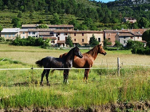 GR510 Hiking on the 8 Valleys Trail (Alpes-Maritimes) 6