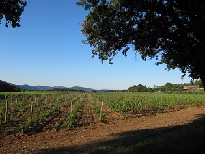 GR51 Randonnée de Peymeinade (Alpes-Maritimes) à Brignoles (Var) 6