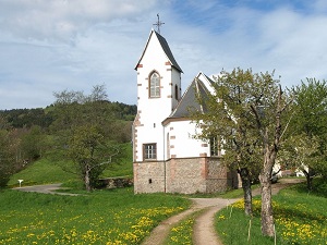 GR®531 Across Vosges Massif 6