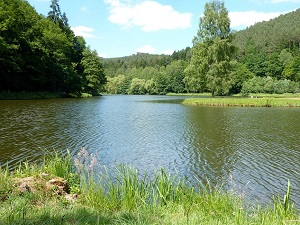 GR®531 Randonnée de Soultz-sous-Forêts à Oberhaslach (Bas-Rhin) 4