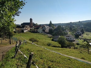 GR®531 Randonnée de Soultz-sous-Forêts à Oberhaslach (Bas-Rhin) 6