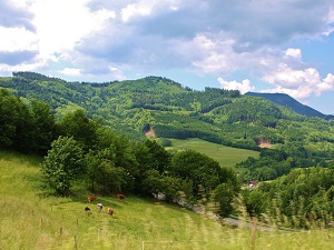 GR531 Hike from Oberhaslach (Bas-Rhin) to Bramont Pass (Haut-Rhin) 4
