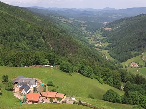 GR�1 Hike from Oberhaslach (Bas-Rhin) to Bramont Pass (Haut-Rhin) 6