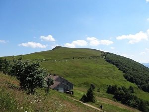 GR531 Hike from Oberhaslach (Bas-Rhin) to Bramont Pass (Haut-Rhin) 7