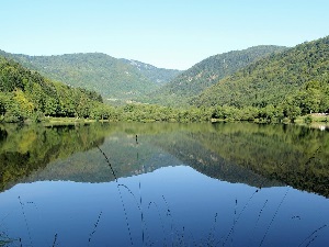 GR531 Hike from Bramont Pass to Leymen (Haut-Rhin) 5