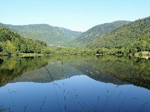 GR®531 Randonnée du Col de Bramont à Leymen (Haut-Rhin) 5