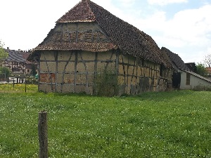 GR531 Hike from Bramont Pass to Leymen (Haut-Rhin) 6