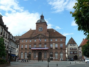 GR®532 De Wissembourg (Bas-Rhin) à Lutzelbourg (Moselle) 3